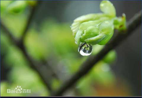 喜訊！2017新年開工第一份中標(biāo)通知書